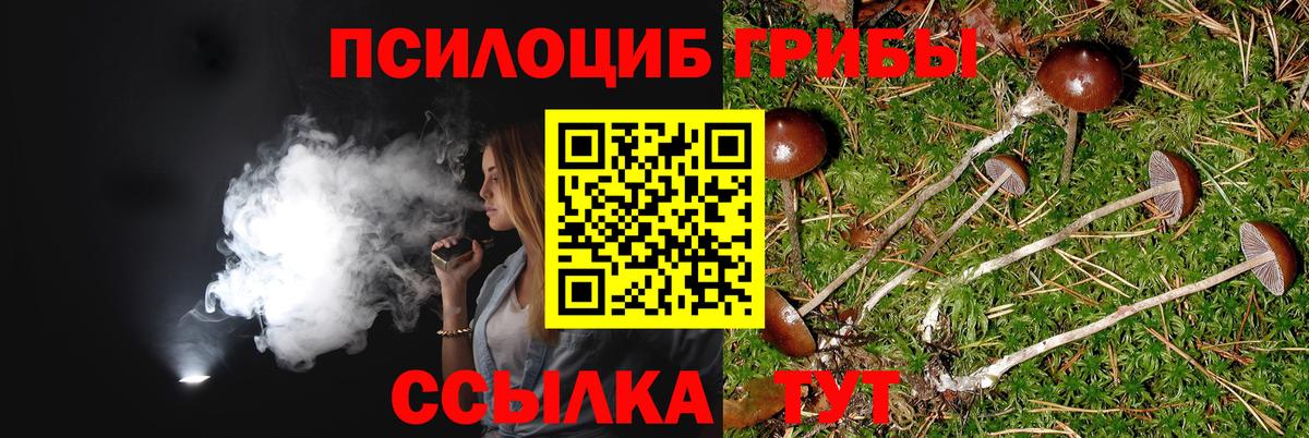 Псилоцибиновые грибы прущие грибы Можайск